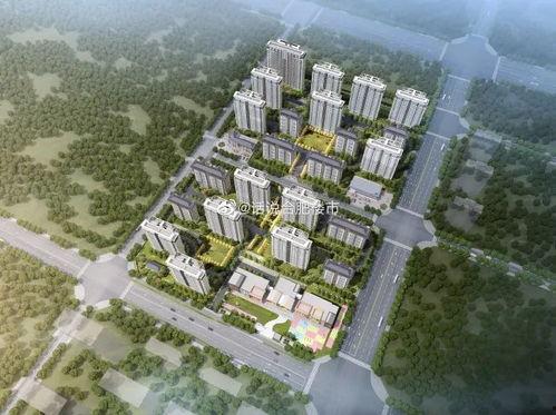 祥生爆料最新消息