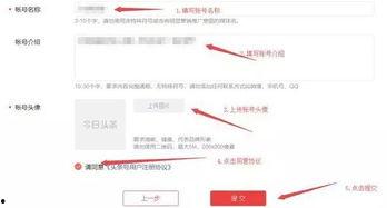 合格的头条号,如何打造优质内容，赢得百万粉丝