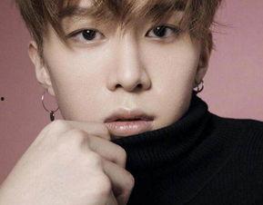 查看全部明星,揭秘娱乐圈全明星阵容