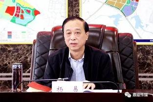 杨易头条,揭秘杨易最新动态，带你了解他的精彩人生