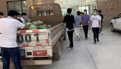 莆田吃瓜新闻,揭秘当地热点事件背后的真相与争议