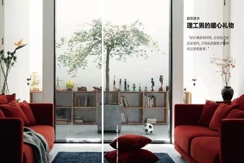 搜索网红设计师,创意无限，潮流引领者