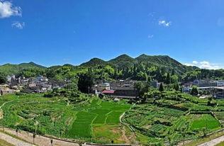 南平顺昌池塘新闻头条,事件详情及最新进展”