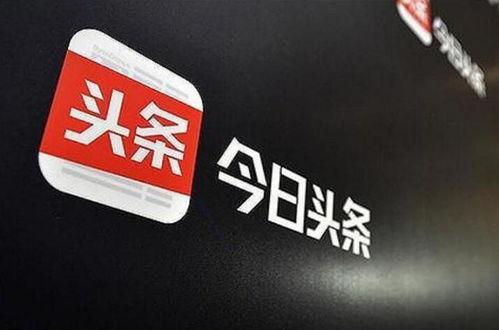 蒲域今日头条,聚焦热点，洞察社会脉动