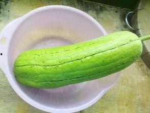 水瓜怎么吃清肺,天然清肺美食指南