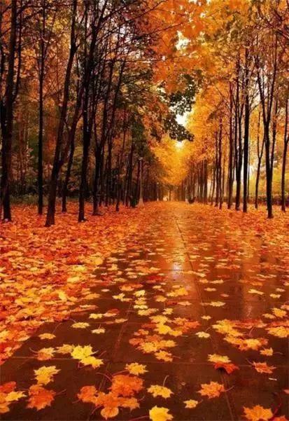 秋天天冷的微头条,秋日寒冷天气来袭，如何保暖养生？”