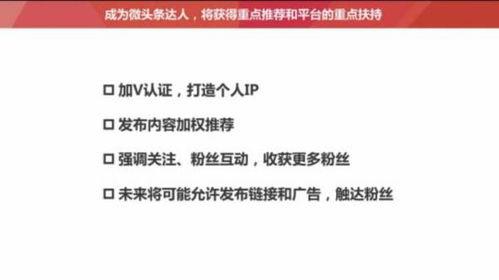头条文章不能被推荐,头条文章为何无法被推荐