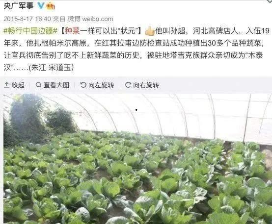 头条开店种菜,体验虚拟农场，种菜乐趣无限