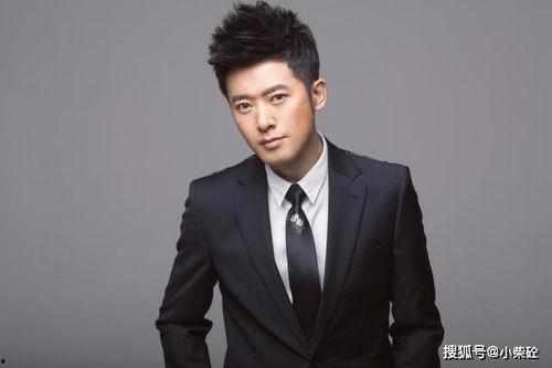 明星ceo,闪耀商业舞台的璀璨星辰