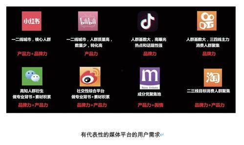 网红营销直播带货论文,现象解析与策略探讨