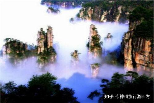 张家界景区网红项目介绍,探秘自然奇观，体验非凡之旅