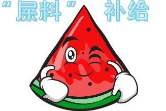 欢迎来到吃瓜现场,揭秘娱乐圈幕后风云